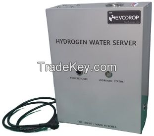 Hydrogen water Ionizer