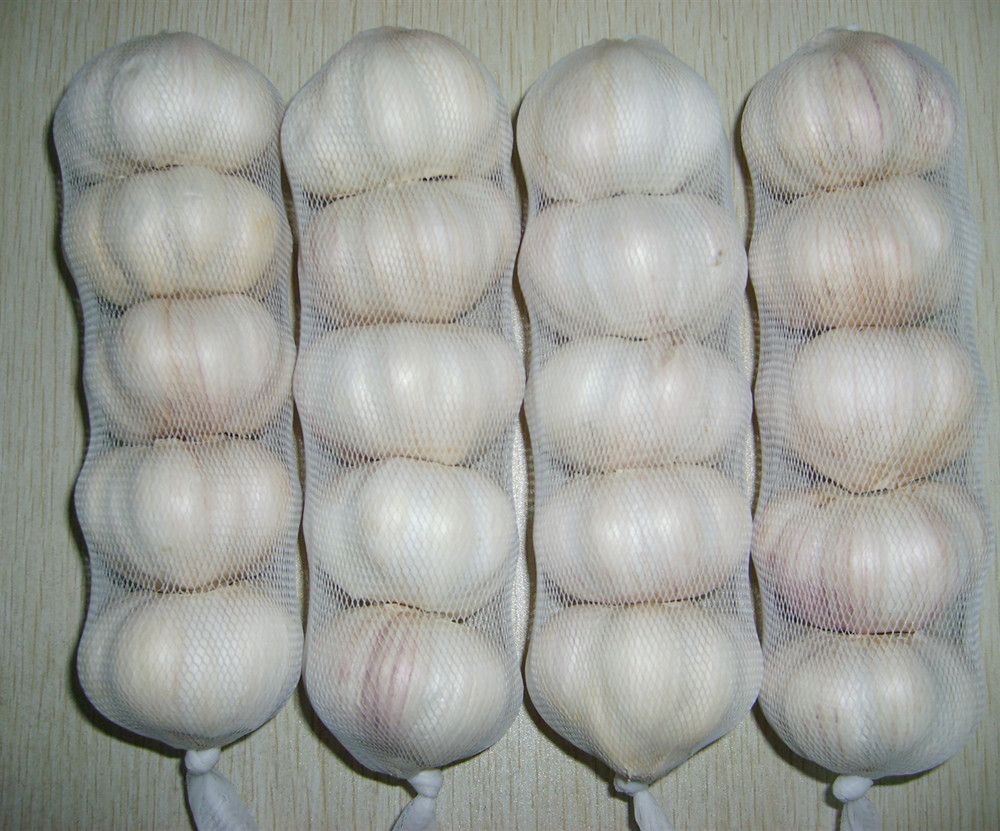 NORMAL WHITE GARLIC/ 5P250g/Fresh new corped