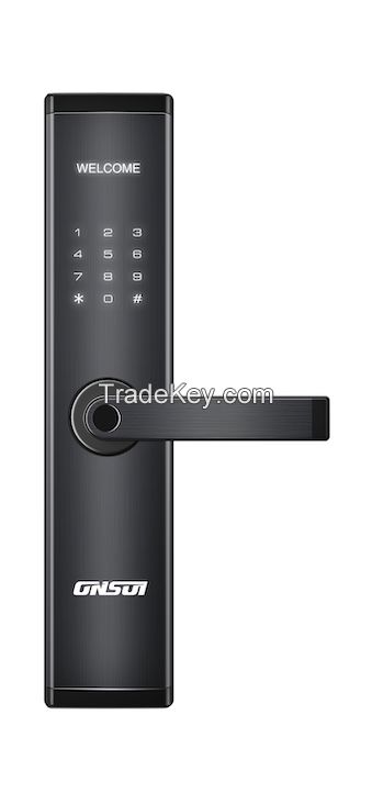 L1 Lever Lock (color black only)