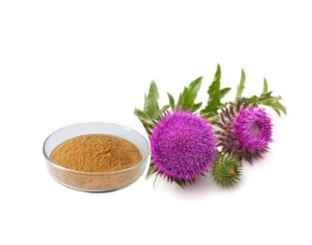 Organic Milk Thistle Extract Powder