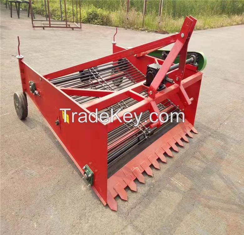 Potato harvester