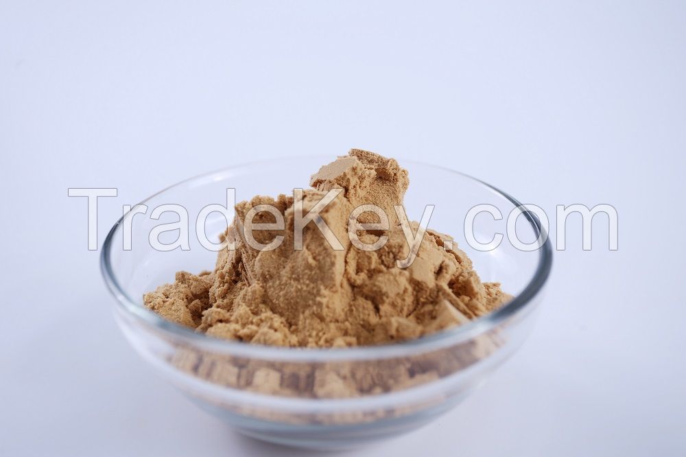 Confirms to EC396 Panax Ginseng Extract Ginseng Root Extract Ginsenosides