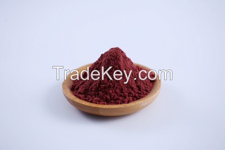 100% Natural Antioxidant Vaccinium myrtillus Bilberry Extract Anthocyanidins