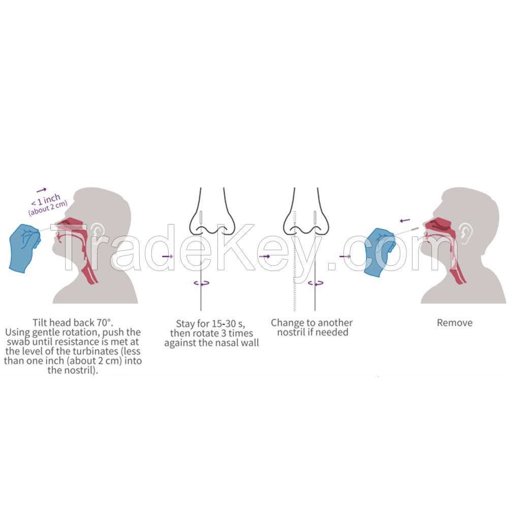 antigen rapid test kit for coronavirus