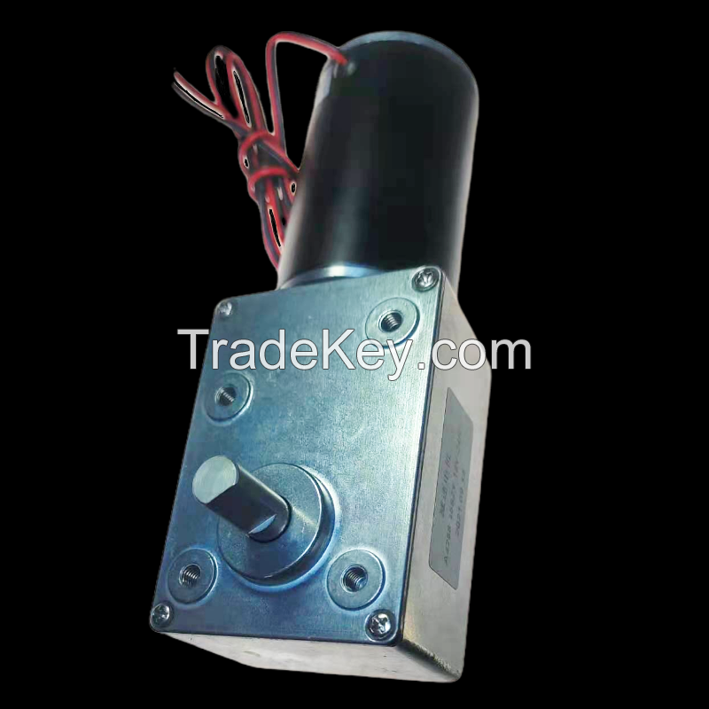 75 Kg Load Torque Brushless 30W 12-24V DC Motor A5882-45s Wholesale Can Customize