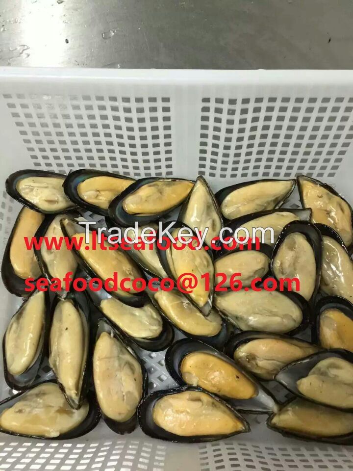 Sell boild blue mussel meat