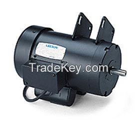 Leeson DC Motor Electric Motor