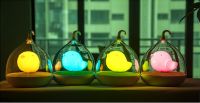 Bird Cage Night Light