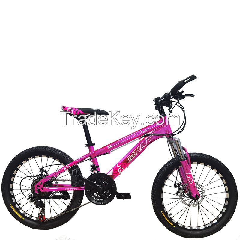 China high quality steel frame cycle mountain bike factory price