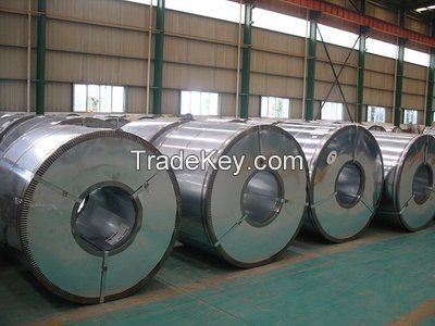 Galvanized Steel Coil