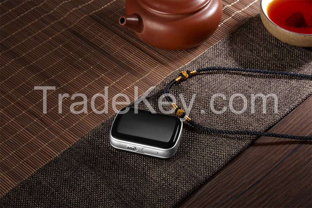 IP67 Waterproof 4G GPS Tracker GPS locator FA29