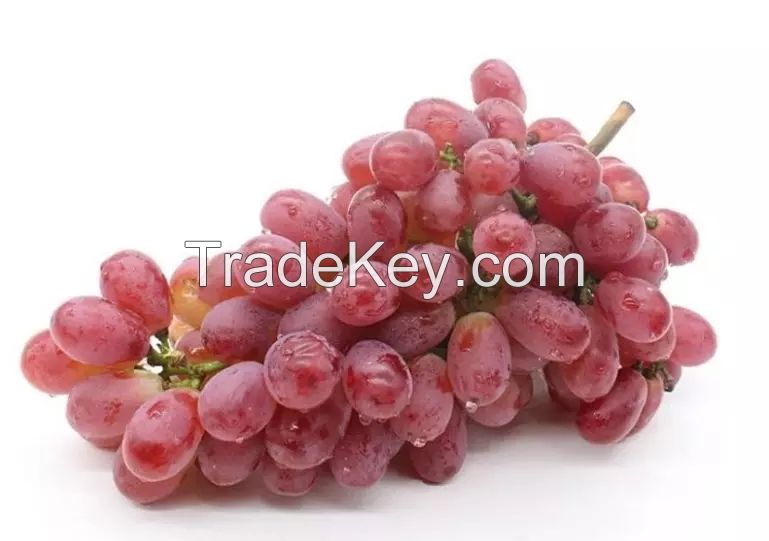 Chinese red globe grapes Fresh Style fresh grapes for sale 