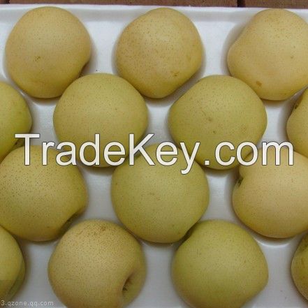 Ya Pear,Su Pear,Crown Pear,Shandong Pear,Golden Pear