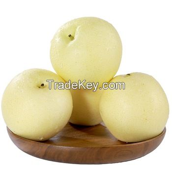 Ya Pear,Su Pear,Crown Pear,Shandong Pear,Golden Pear