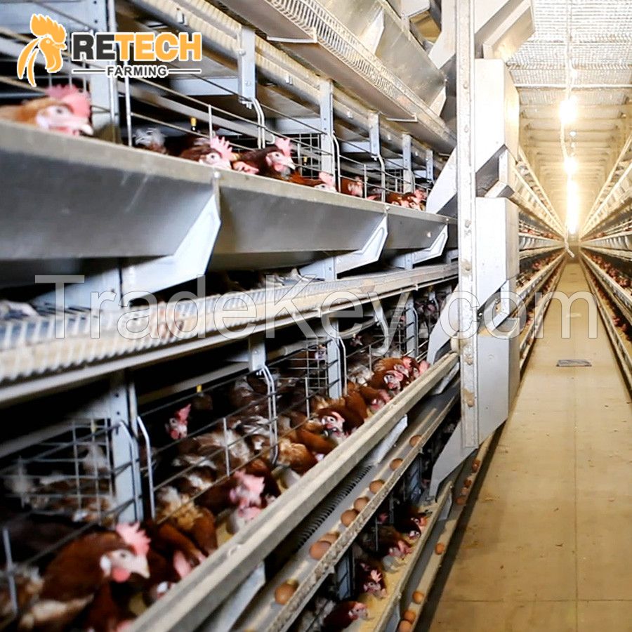 H Type chicken layer cages with automatic feeding system