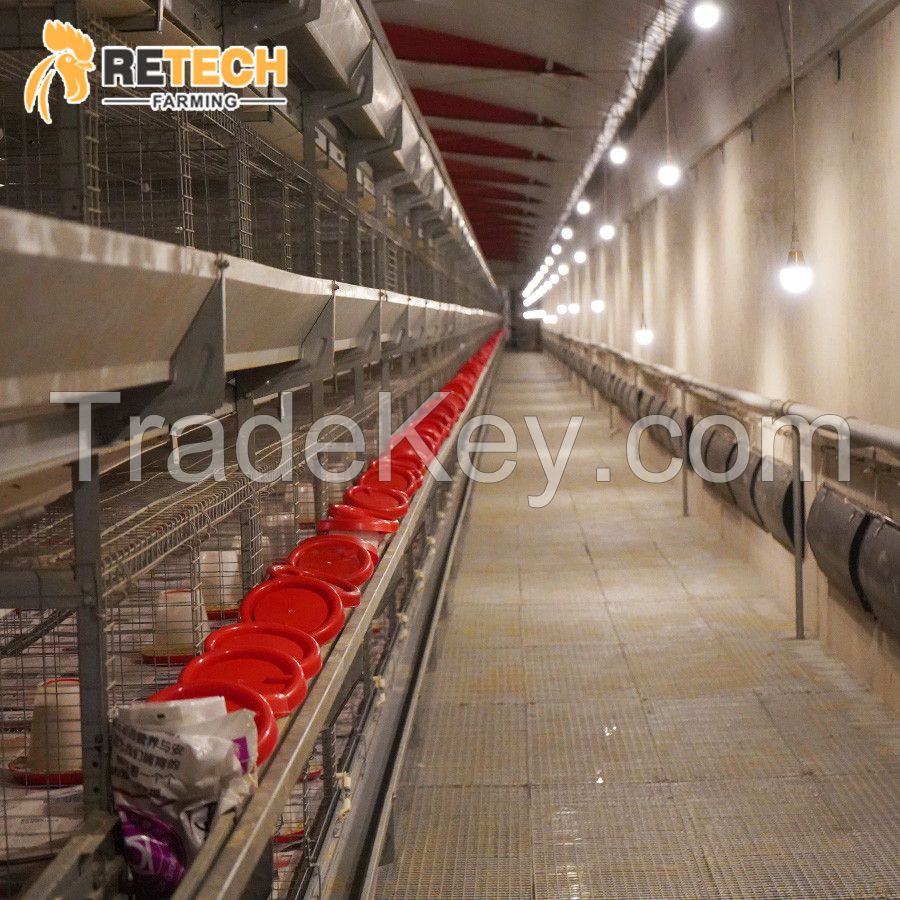 RETECH Factory Direct Supply H Type Full Automatic rearing equipment