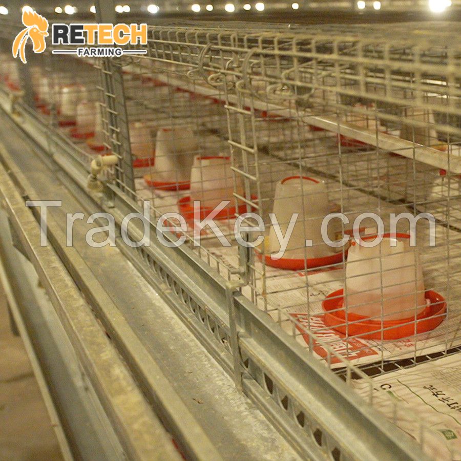 RETECH Factory Direct Supply H Type Full Automatic rearing equipment