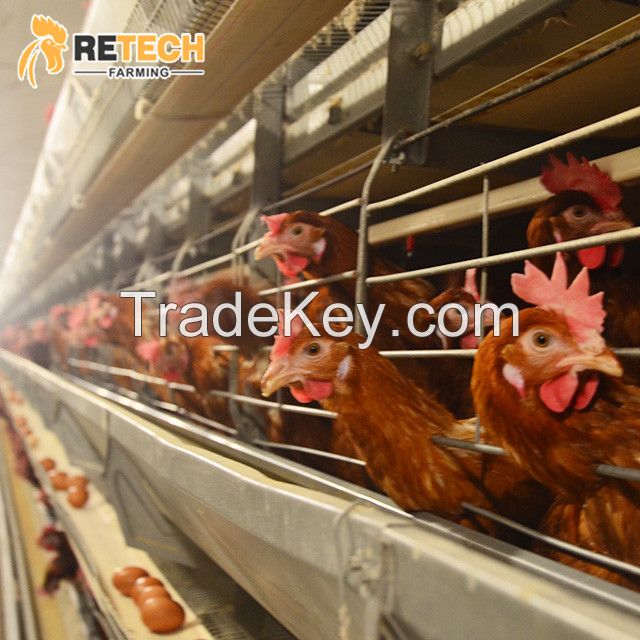 RETECH Advanced Full Automatic A Type Battery Chicken Cage System