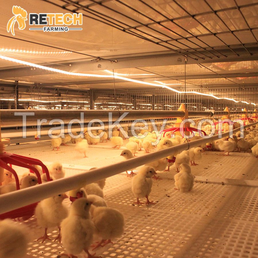 RETECH Design Morden Automatic Broiler Chicken Cage for Sale