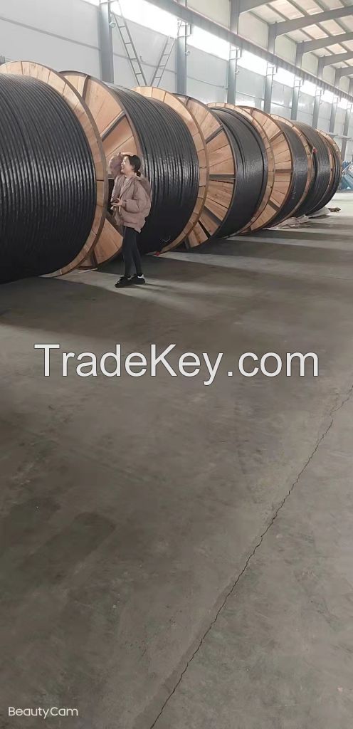 Yjv22 Yjv32 Cu/XLPE/PVC/Swa/PVC 50mm 25mm 35mm Electric Cable 35kv XLPE Price High Voltage Power Cable