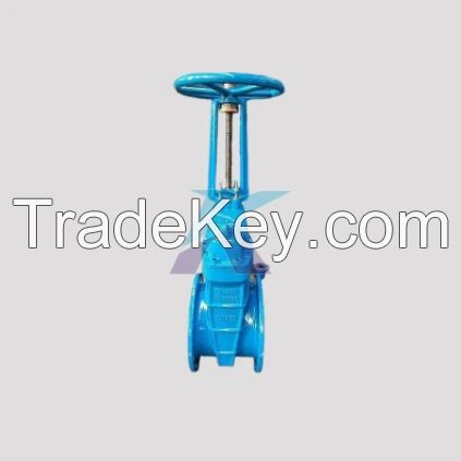 Ductile Iron Flanged Flexible Seat Rising-Stem Gate Valve, PN16/PN10