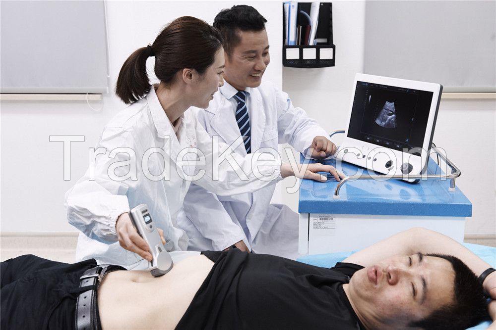 Wireless Handheld Ultrasound Diagnostic System User