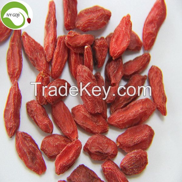 New Crop Factory Supply Dried Ningxia Goji Berry