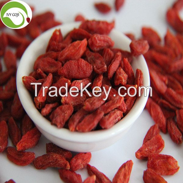 Factory Supply Nutrition Dried Lycium Barbarum