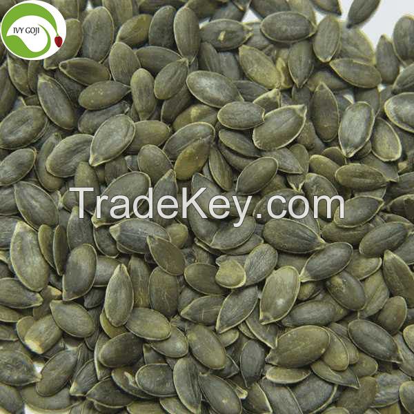 Factory Supply Hot Sale GWS Pumpkin Kernels