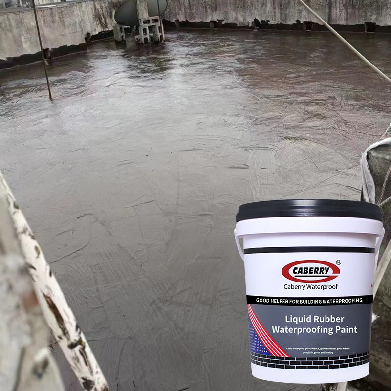 Wholesale CABERRY nano coating waterproof liquid rubber waterproofing