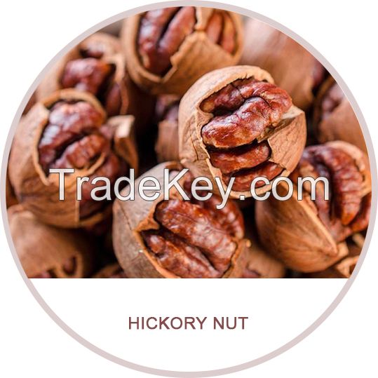 chinese walnuts, walnut kernels, thin skin walnut, butterfly walnut