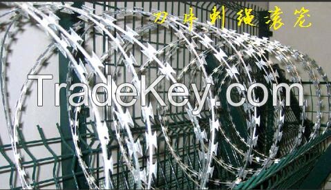 Barbed wire / razor wire / viper net / barbed wire rolling cage