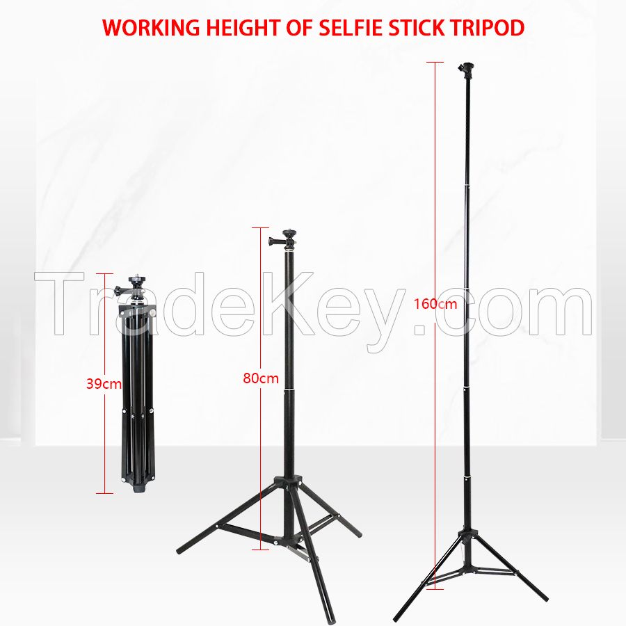 Wholesale Beauty 10 inch Dimmable Tiktok Photographic Led Ring Light With Tripod Stand For Live Stream Makeup Youtube Video