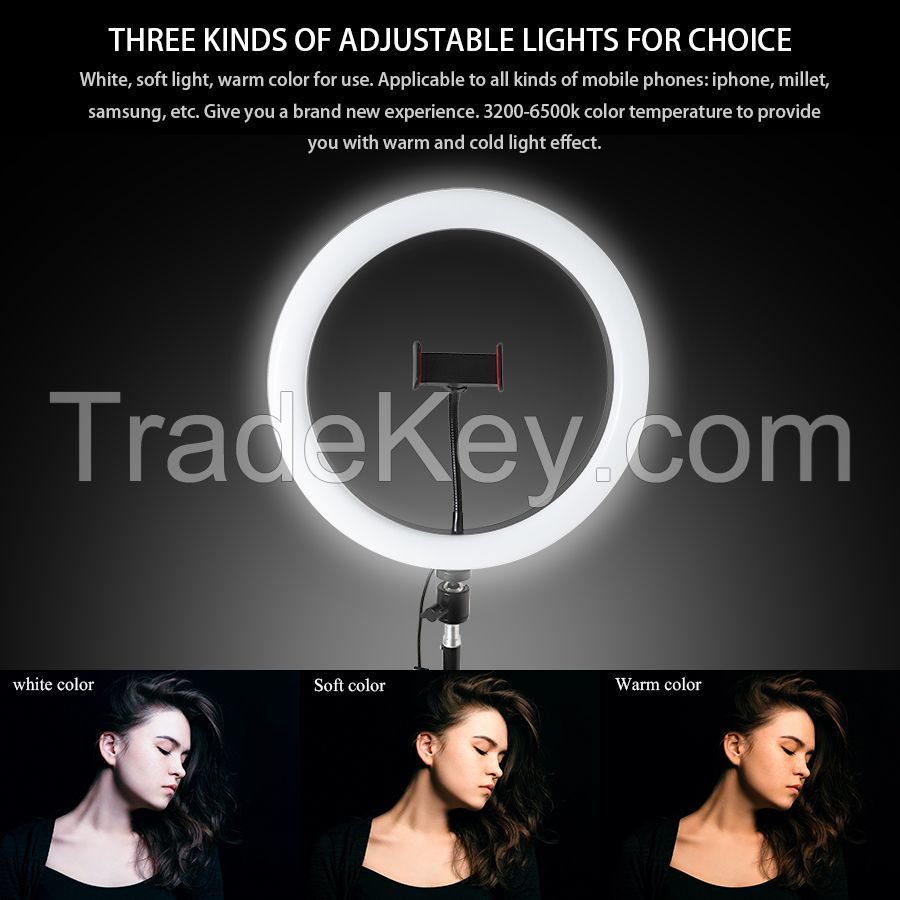 Factory Dimmable 12 inch Selfie LED Ring Fill Light With Tripod Stand Circle Light  Photo Video