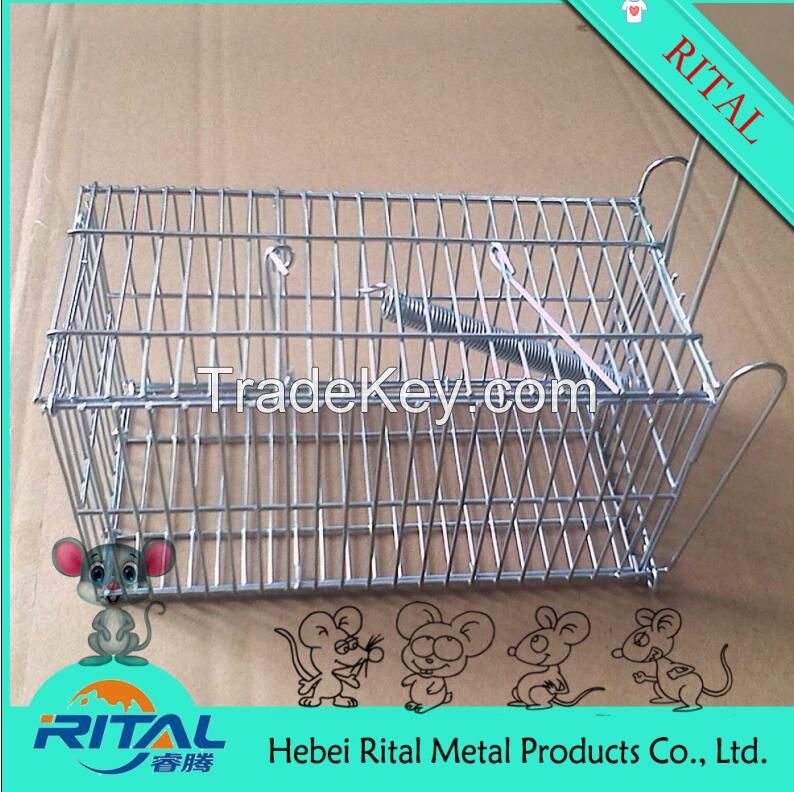 Folding wire Squirrel Cage Trap 