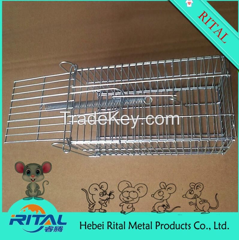 Folding wire Squirrel Cage Trap 