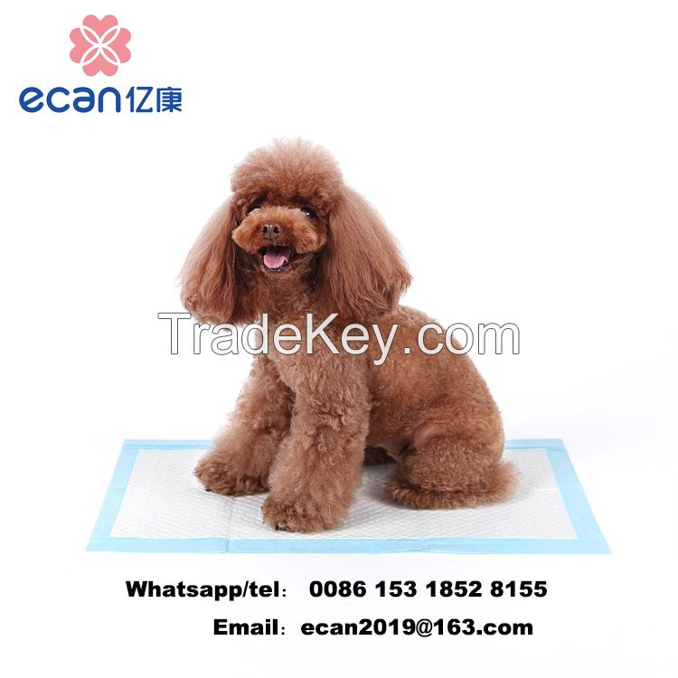 Disposable pet training pad dog wc pee pad