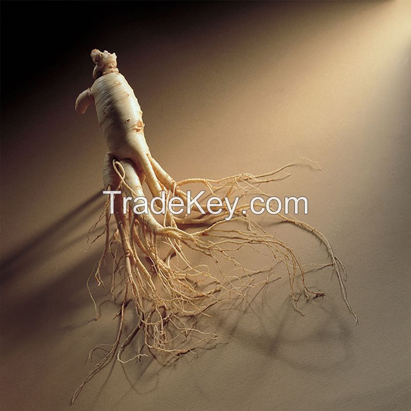 Ginseng Powder