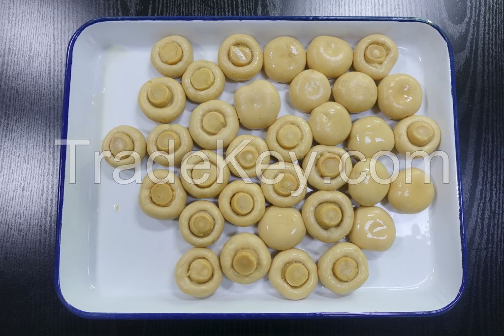 Select Canned Button Mushroom Champignons 400g