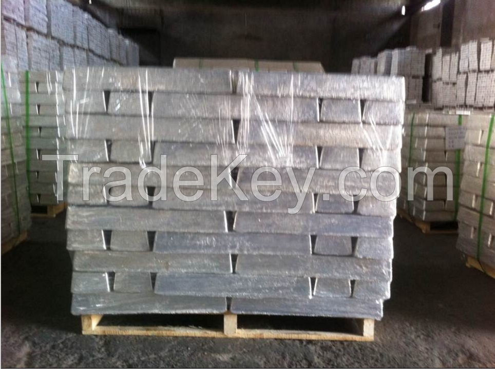 Magnesium Ingots 99.9%