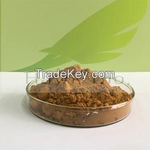 Citrus Aurantium Extract (Synephrine)