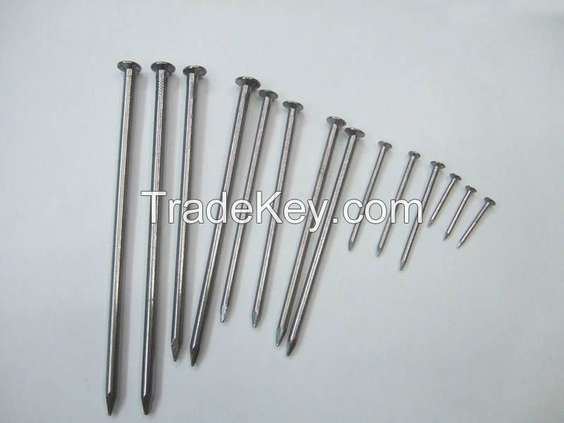 Galvanized Common Nails