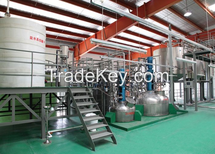 Automatic Liquid Detergent Production Line with Turnkey Project