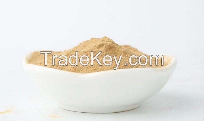 Oyster mushroom Powder