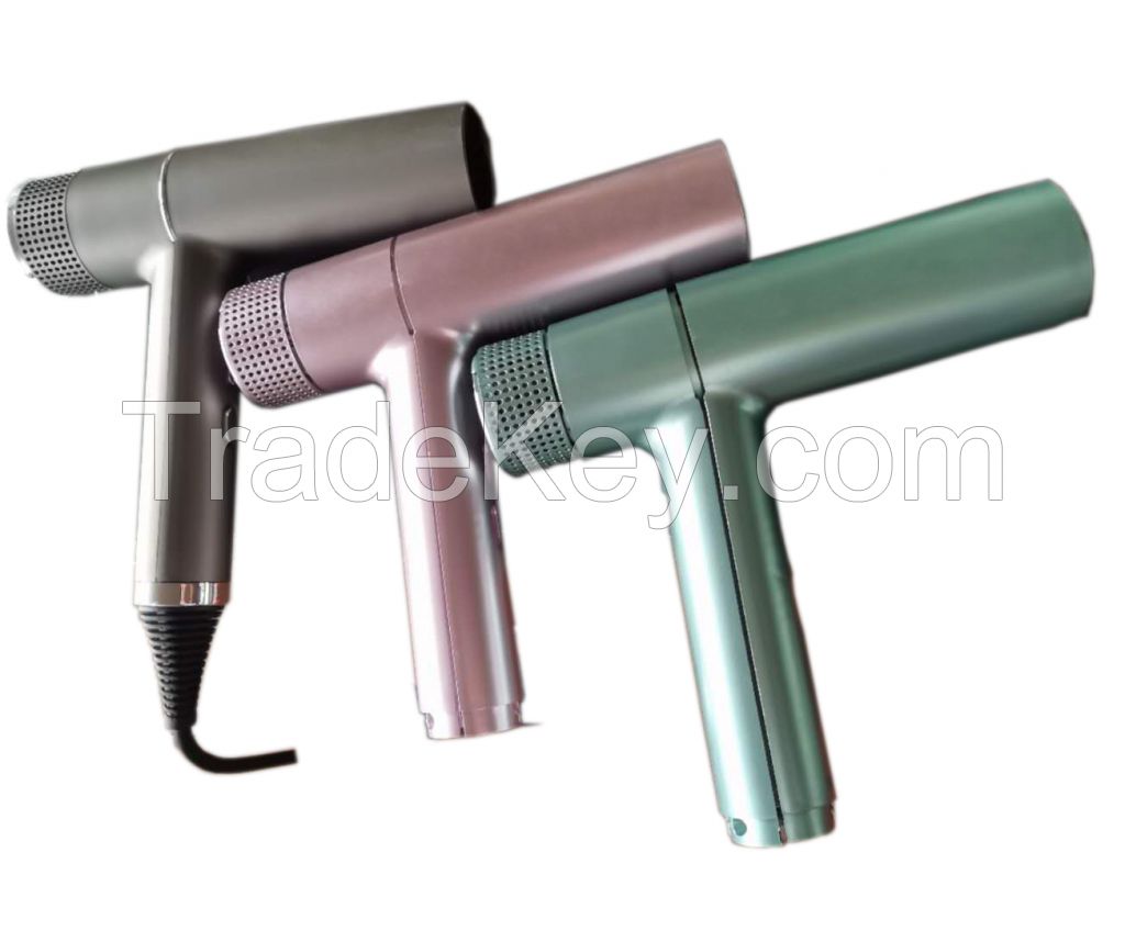 Brushless EC hair dryer 2001