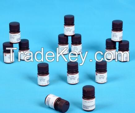 acetyl coenzyme A oxidase (EC 1.3.3.6) ACOD