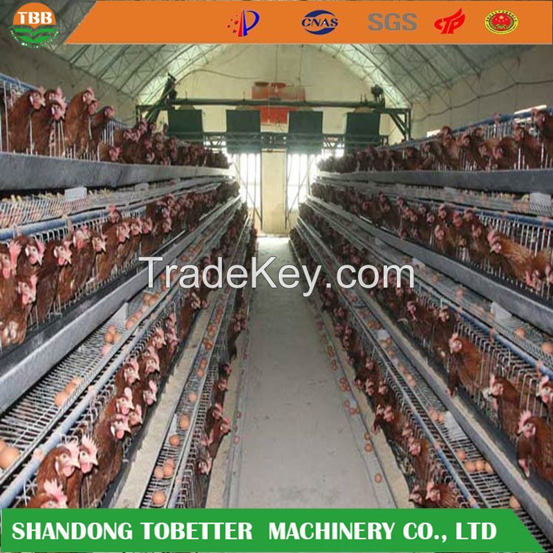 Poultry layer cage