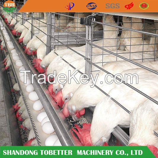 Poultry layer cage