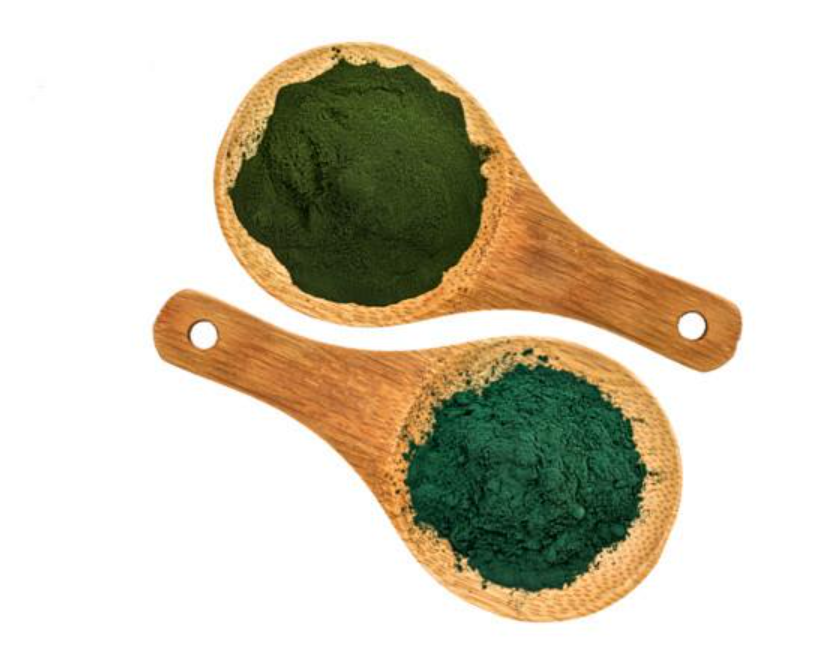 wholesale bulk supplier of Organic Chlorella/ Spirulina Powder/Tablets.