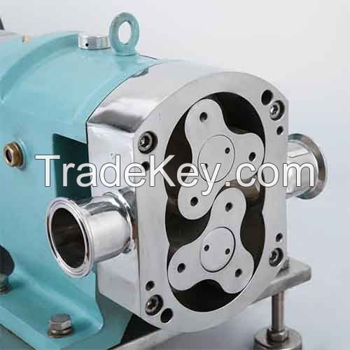 Rotary lobe pump